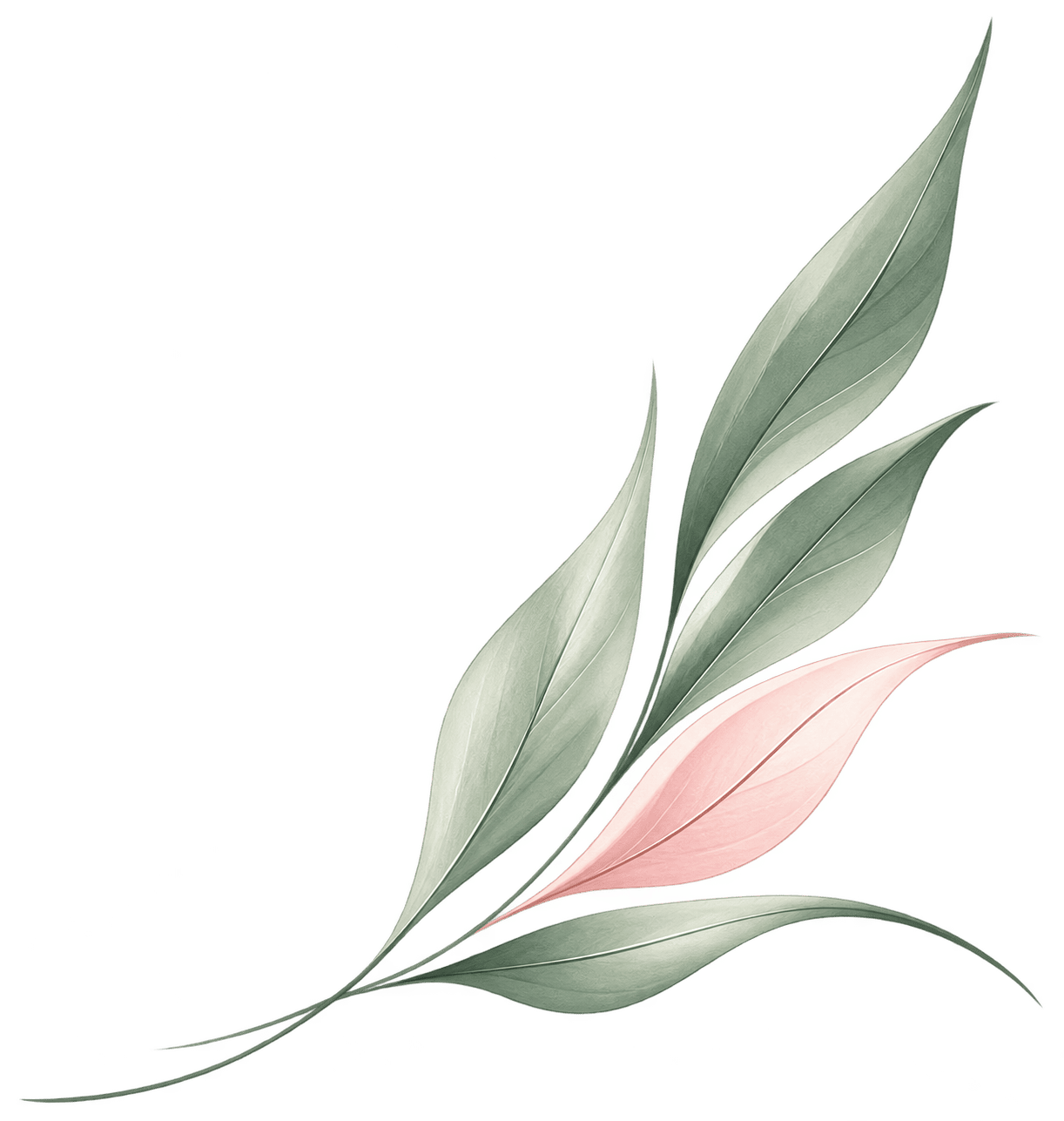 image (4) (1)